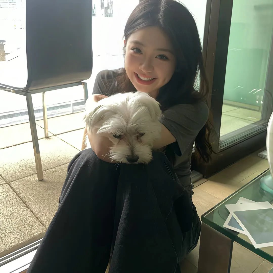 小石头